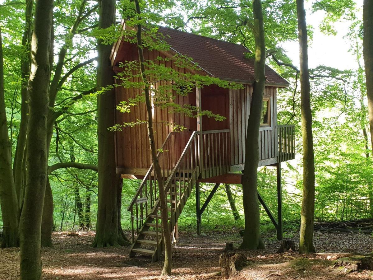Baumhaushotel Solling 우슬라 외부 사진