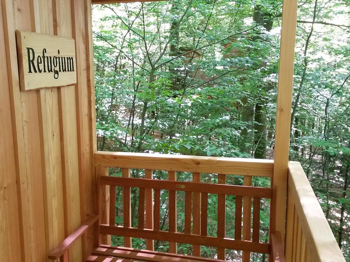 Baumhaushotel Solling 우슬라 외부 사진