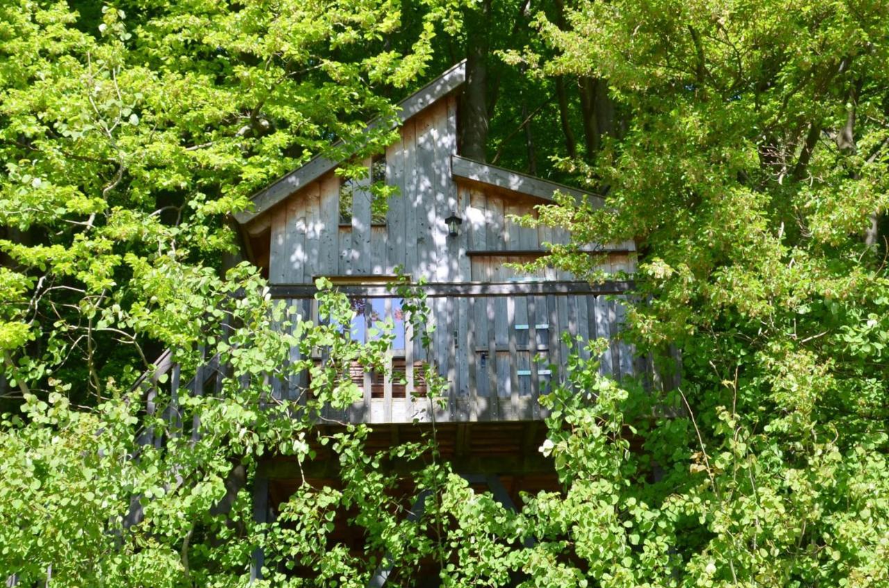 Baumhaushotel Solling 우슬라 외부 사진