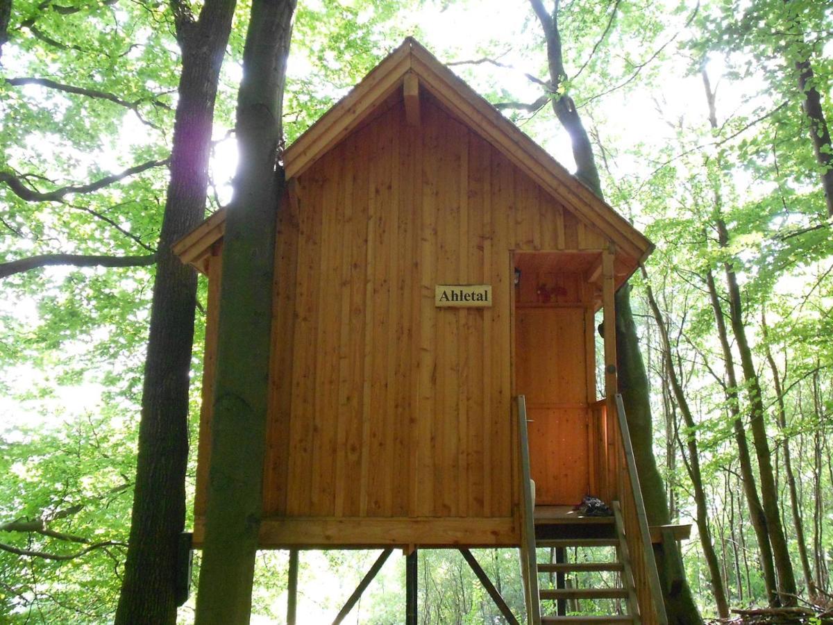 Baumhaushotel Solling 우슬라 외부 사진