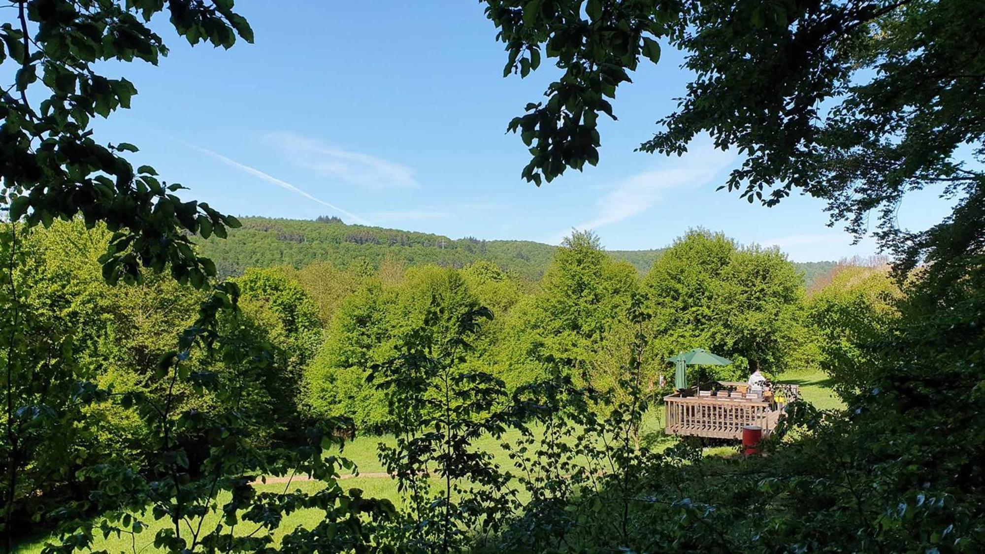 Baumhaushotel Solling 우슬라 외부 사진