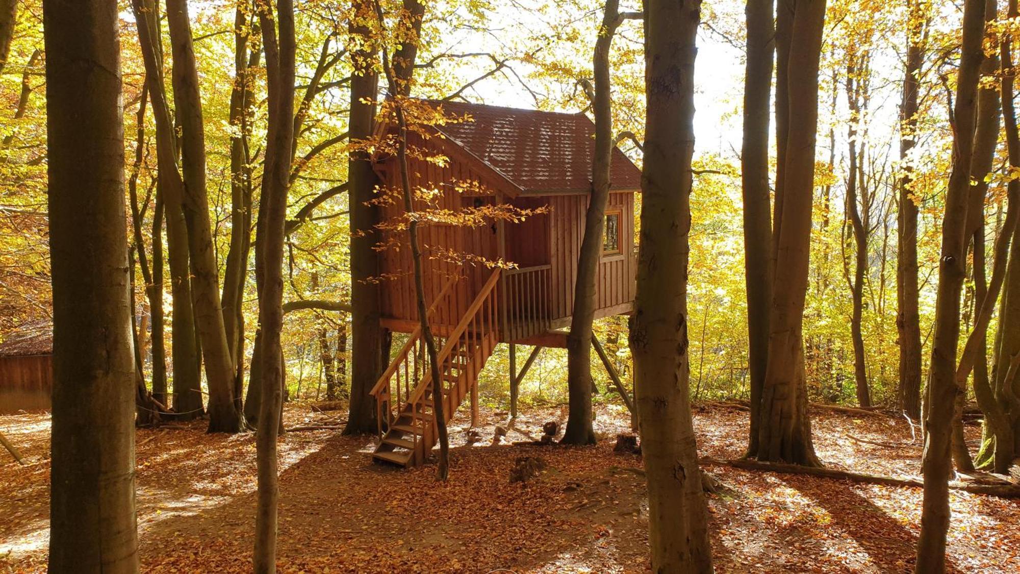 Baumhaushotel Solling 우슬라 외부 사진