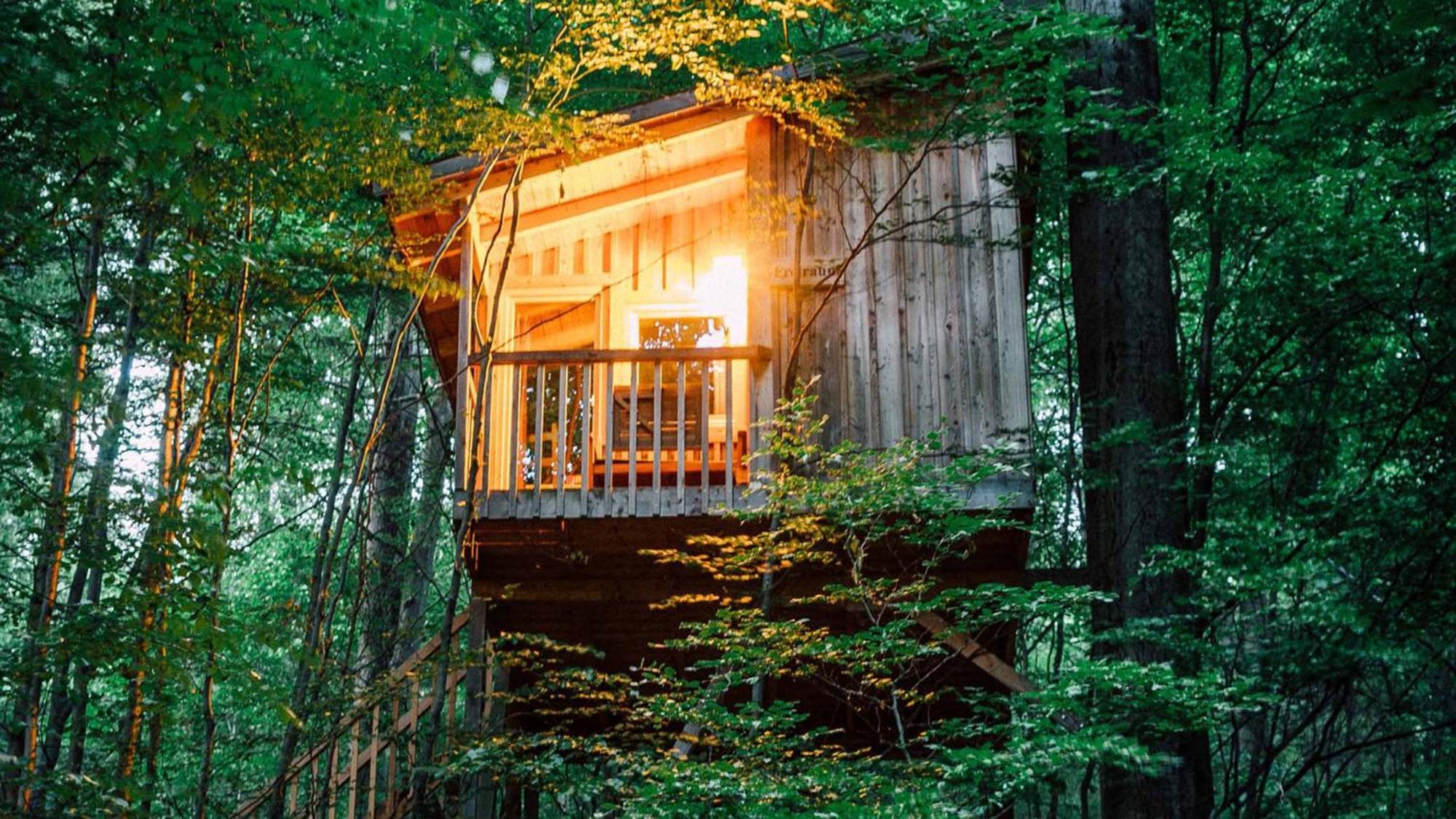 Baumhaushotel Solling 우슬라 외부 사진