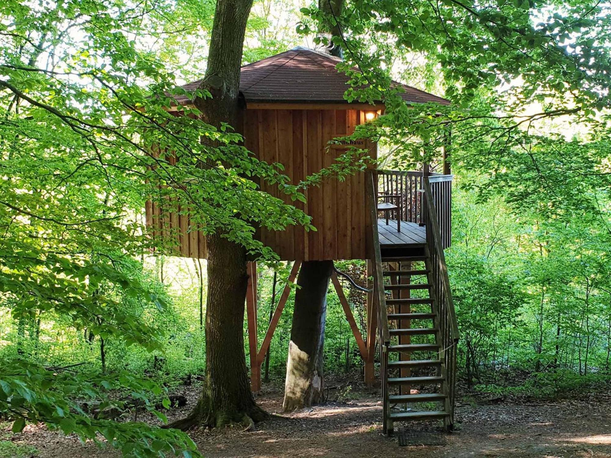 Baumhaushotel Solling 우슬라 외부 사진
