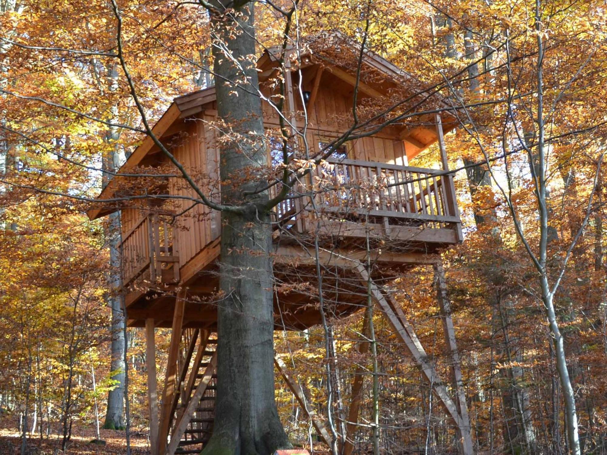 Baumhaushotel Solling 우슬라 외부 사진