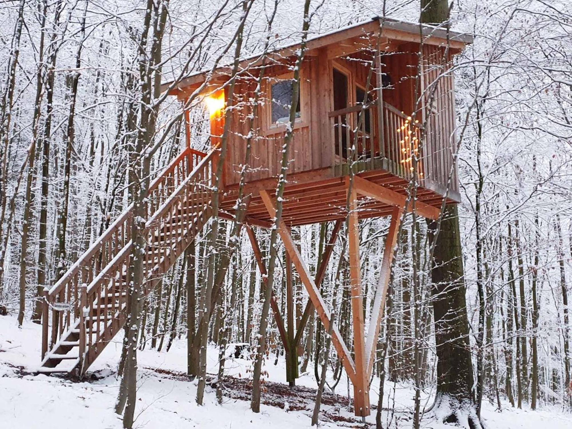 Baumhaushotel Solling 우슬라 외부 사진