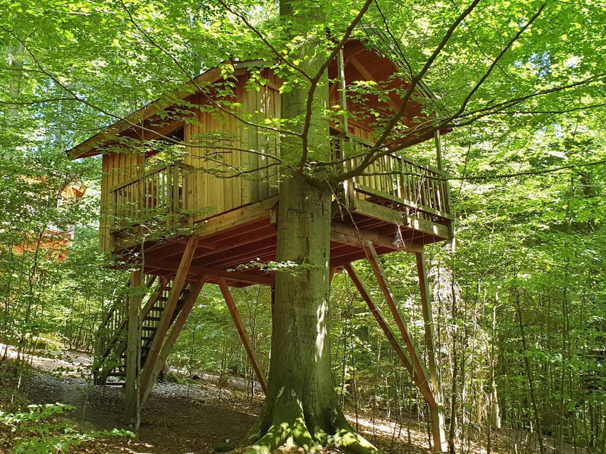 Baumhaushotel Solling 우슬라 외부 사진